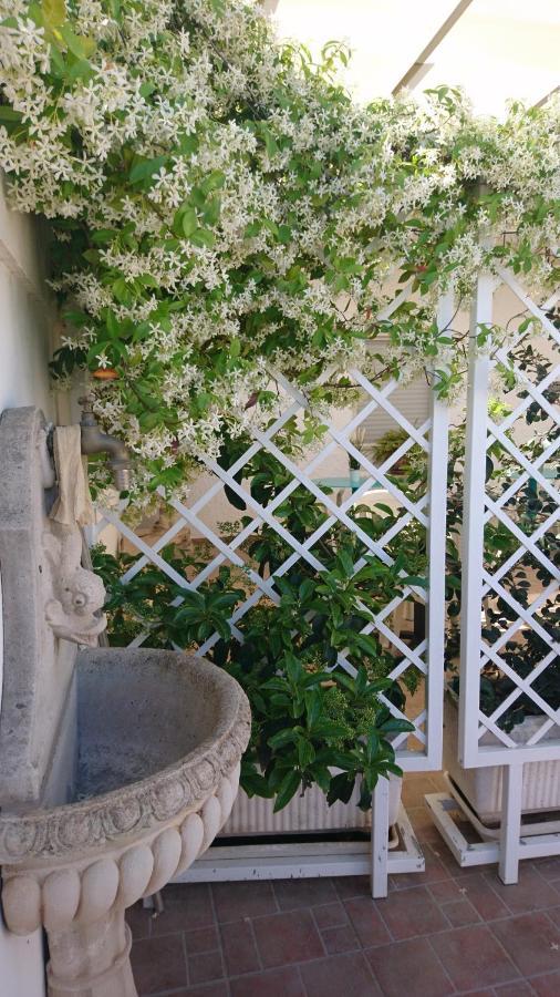 منزل الضيف Sternatia  في Stella Dei Campi المظهر الخارجي الصورة